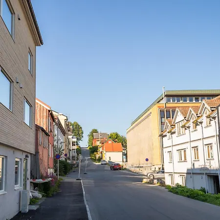 דירה Spacious And Elegant